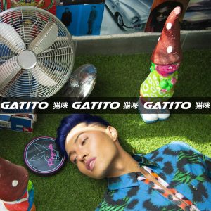 JONAH XIAO - GATITO
