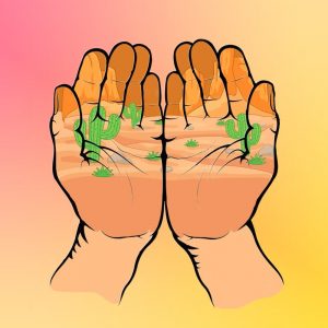 FIRION - NACA LA PIRINACA